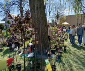 Impreza Wiosna na polu i w ogrodzie odbyła się w Siedlcach już po raz 18.