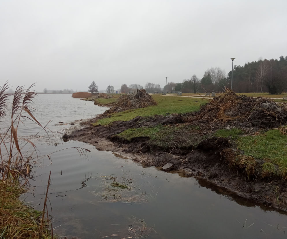 Brzegi siedleckiego zalewu od strony plaży zostaną pozbawione gęsto rosnących trzcin wraz z zalegającymi pod nimi mułem