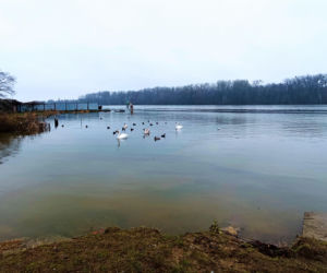 Szczecin buduje nad Odrą bulwar za 21,7 mln zł z przystanią dla tramwaju wodnego