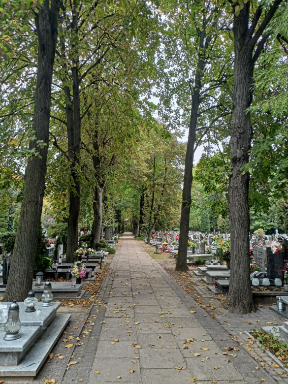 Ceny zniczy i wiązanek. Cmentarz Winiarski - Piątkowo Poznań