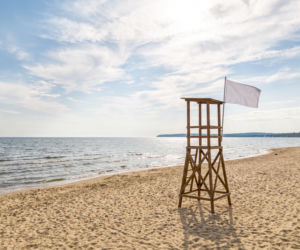 Sinice Gdynia. Czy w Gdyni można się kąpać 05.08? Flaga, warunki pogodowe