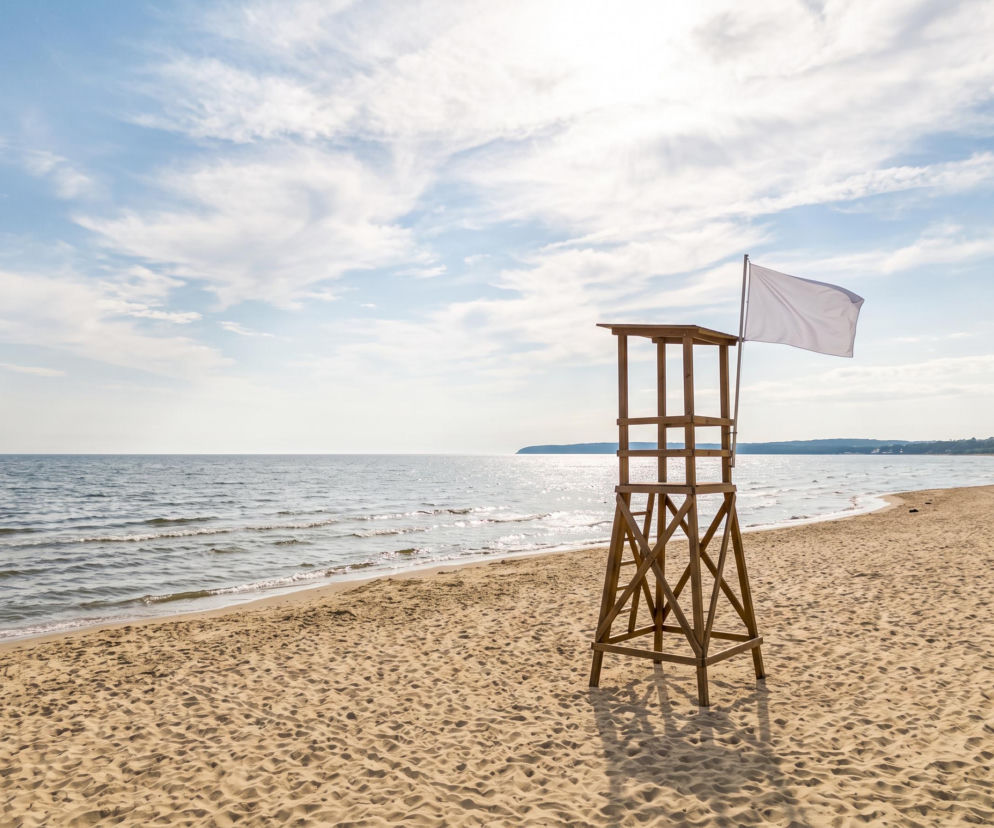Sinice Gdynia. Czy w Gdyni można się kąpać 05.08? Flaga, warunki pogodowe