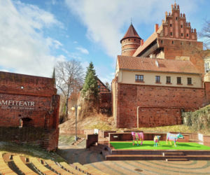 W centrum Olsztyna niecodzienny widok. Przy amfiteatrze pasą się kolorowe KROWY! 
