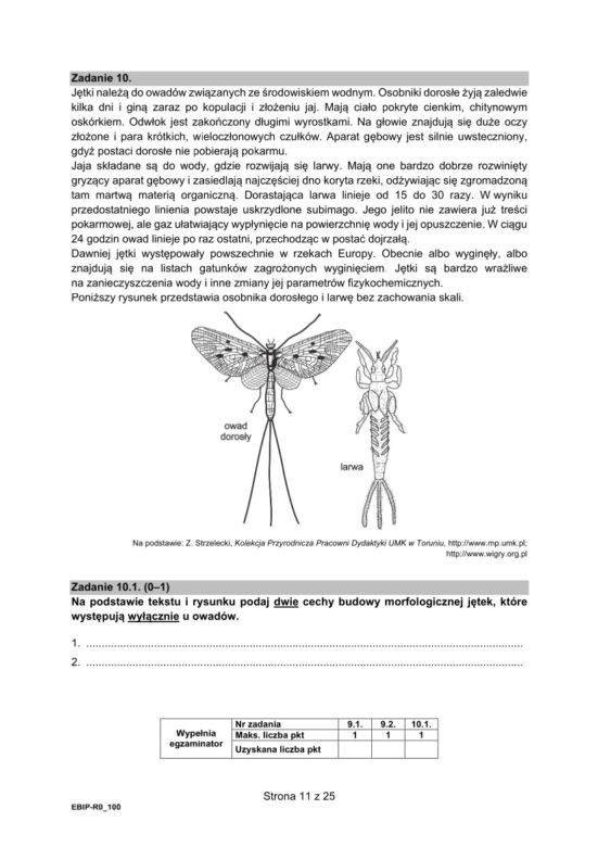 Matura próbna 2021: Biologia poziom rozszerzony. Arkusze CKE sprawdzisz TUTAJ
