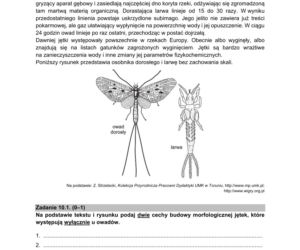 Matura próbna 2021: Biologia poziom rozszerzony. Arkusze CKE sprawdzisz TUTAJ