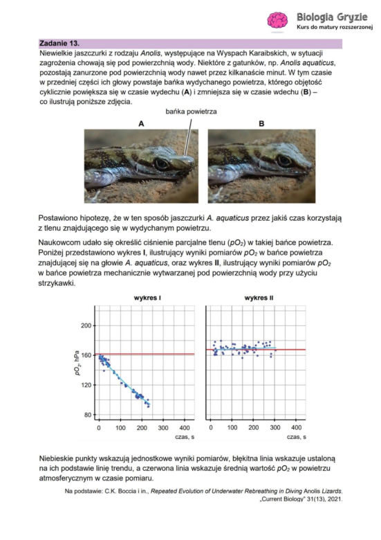 Matura 2026 biologia ROZSZERZONA: Arkusze CKE i odpowiedzi - sprawdź, czy zdałeś! 8.05.2026