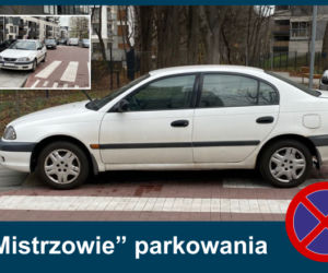Mistrzowie parkowania. Tak kierowcy parkują w Warszawie