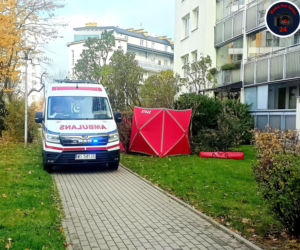 Makabra na Ursynowie. Mężczyzna wyleciał z 11 piętra 