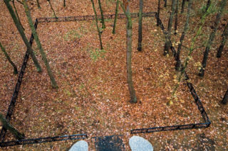 Las Pamięci w Poznaniu