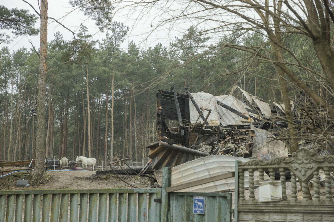  Spłonęła stadnina koni Huculski Raj na warszawskiej Białołęce. Ruszyła zbiórka na pomoc!