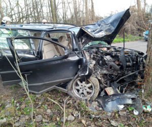 Płock: FATALNIE wyglądający wypadek! Uderzył w drzewo!