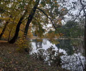 Jesienny spacer po parku zamkowym w Krasiczynie