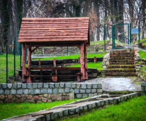 Nowy wybieg dla psów na Szmaragdowym