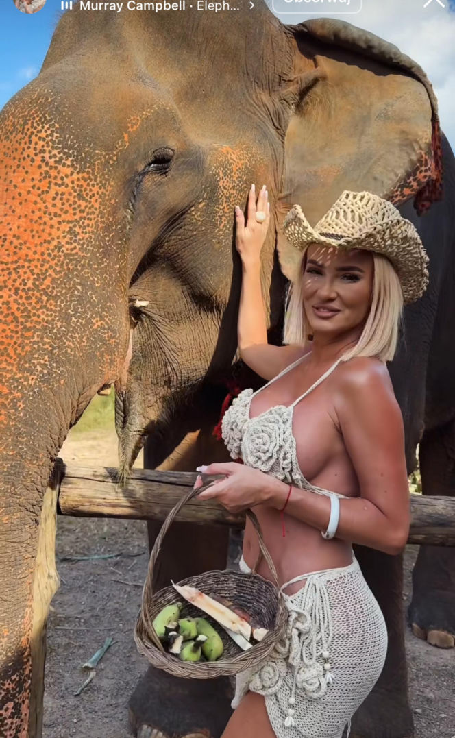 Gwiazdy witają nowy rok w bikini