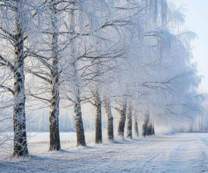 Mróz po Wielkanocy. Czy Polska czeka na -10 stopni?