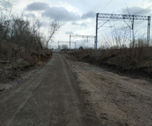 Ścieżka rozpłynie się lada moment. Urzędnicy źle zrealizowali obywatelski projekt?