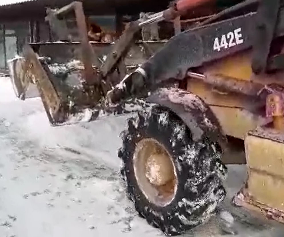 Zgarniali śnieg sprzed sklepów i zrzucali go pod nogi ludzi. To robota głupiego