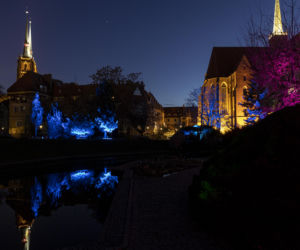 Bajkowe iluminacje w Ogrodzie Botanicznym we Wrocławiu
