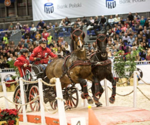 Cavaliada w Lublinie
