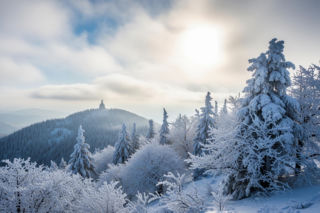 Święty Krzyż wita Nowy Rok. Co skrywa mroźna Narnia?
