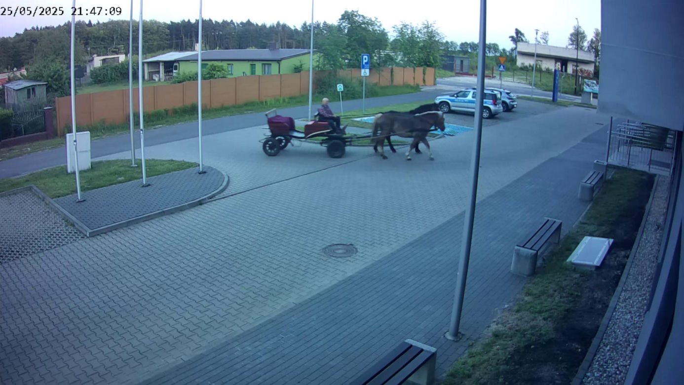 Poddębice. Wóz konny na parkingu komendy. Kierowca nietrzeźwy i z dożywotnim zakazem [ZDJĘCIA]. 