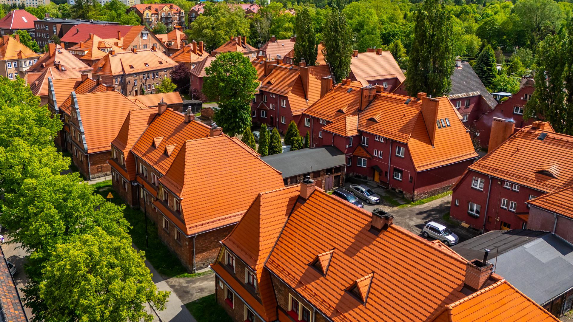 Kolonia Staszica w Rudzie Śląskiej