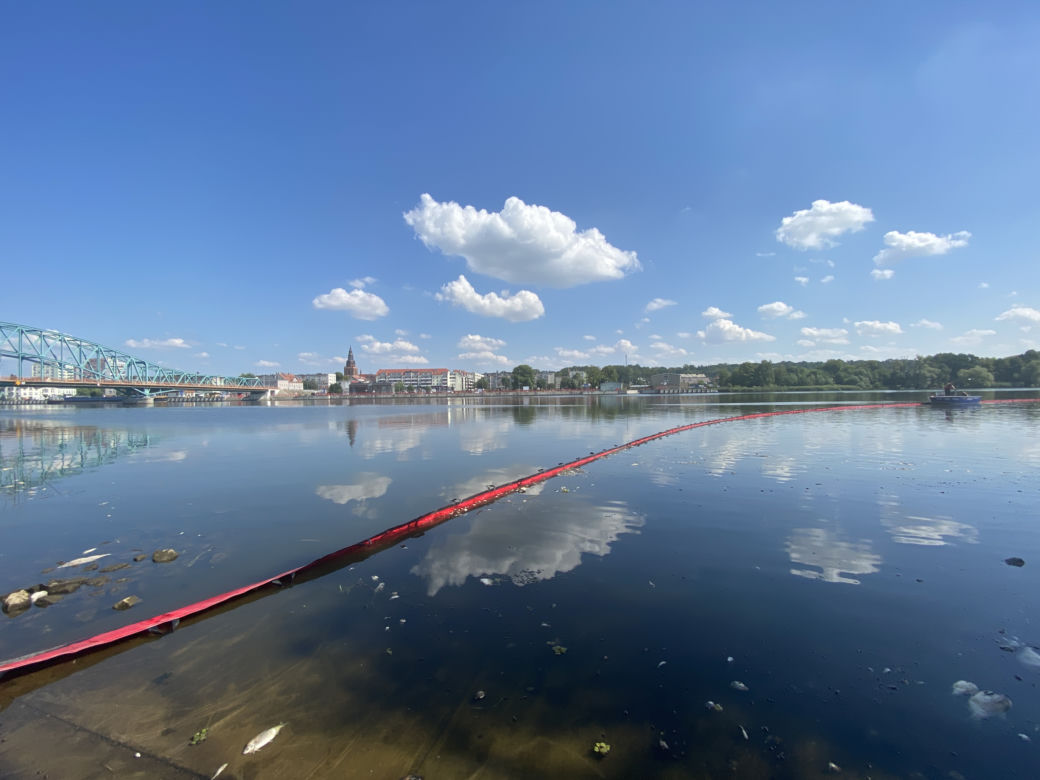 Katastrofa ekologiczna na Odrze. W Gryfinie i Żabnicy trwa stawianie zapór na rzece [ZDJĘCIA]