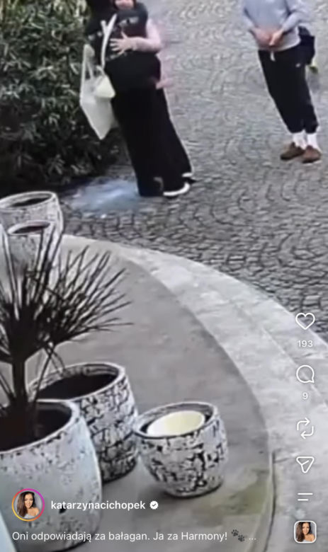 Katarzyna Cichopek