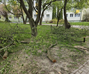 Wichury woj. lubelskie