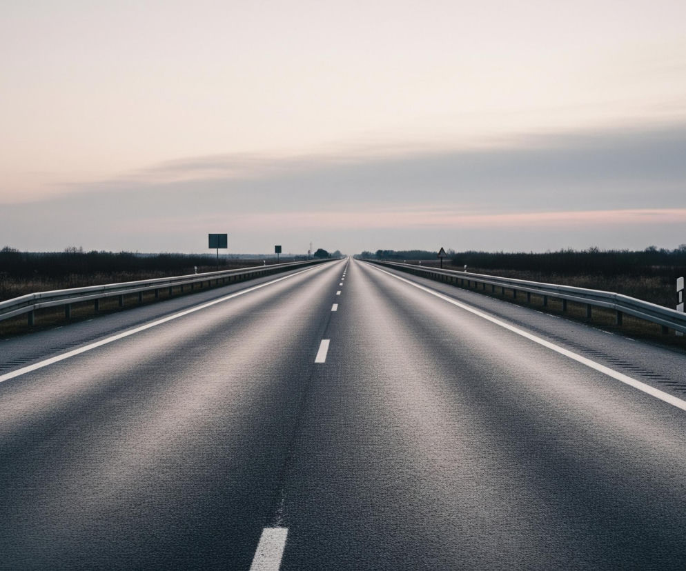 Długa, prosta droga biegnie w głąb obrazu, podzielona białymi, przerywanymi liniami na dwa pasy ruchu, które zbiegają się w oddali, pod zachmurzonym, jasnym niebem. Po obu stronach drogi ciągnie się metalowa barierka ochronna, za którą rozciąga się ciemny, niski horyzont z zaroślami i pojedynczymi drzewami. Na horyzoncie, po lewej stronie drogi, widoczny jest ciemnozielony znak drogowy.