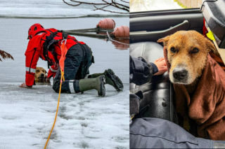 Pod psem załamał się lód! Dramatyczna akcja strażaków 