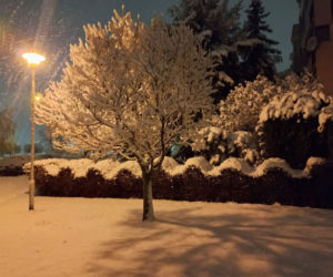 Leszno pod śniegiem. Kolizje na drogach i opóźnienia autobusów