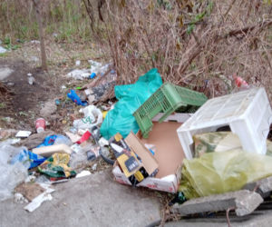 Śmieci na targowisku Świebodzki
