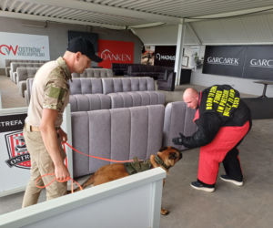 Psy służbowe, szkolenia i strefa pierwszej pomocy. Trwa drugi dzień CERBERUS K9 w Ostrowie