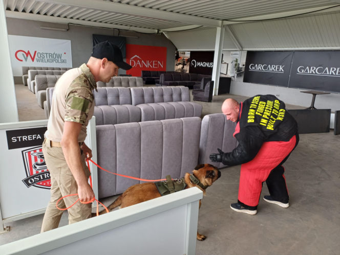 Psy służbowe, szkolenia i strefa pierwszej pomocy. Trwa drugi dzień CERBERUS K9 w Ostrowie
