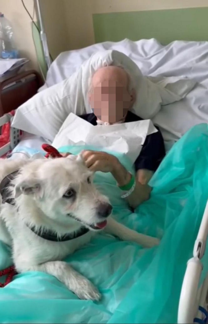 Legnica. Suczka Saba nie widziała właściciela przez 6 miesięcy. Odwiedziła go w szpitalu [ZDJĘCIA].