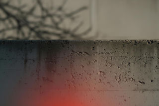 Wirus Nipah wraca do Indii. Czy świat znów czeka na nieznany patogen?