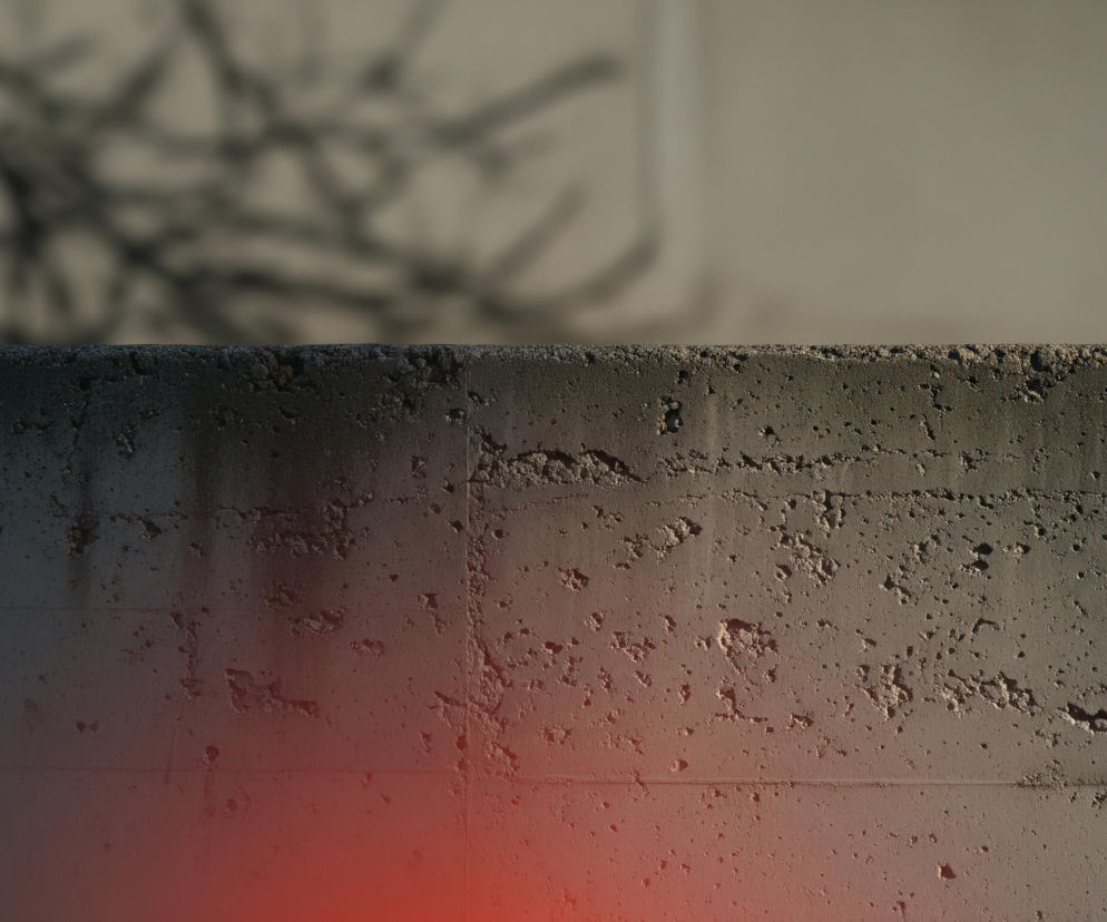 Wirus Nipah wraca do Indii. Czy świat znów czeka na nieznany patogen?