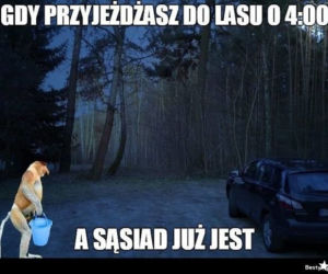 Trwa sezon na grzyby! Oto najlepsze memy o grzybiarzach!