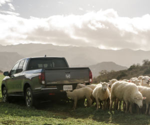 Honda Ridgeline 2017
