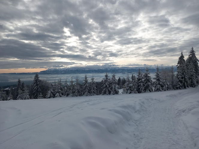 Odkryj przepiękne miasto w Polsce. Niedoceniane, a zapierające dech w piersiach. Odkryj Nowy Targ