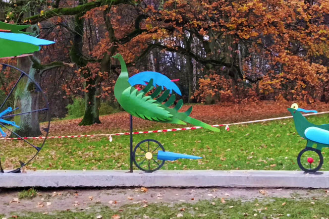 "Ogniste Ptaki" w Parku Kasprowicza w Szczecinie