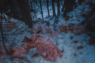 Zwrot akcji ws. porzuconego mięsa w Szczawnicy. Sprawca sam zgłosił się służbom. Najwyższe kary