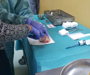 Medicalia w Bydgoszczy