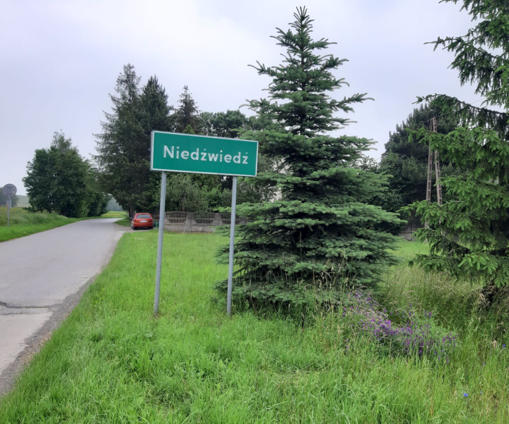 Tajemnicza śmierć w Niedźwiedziu