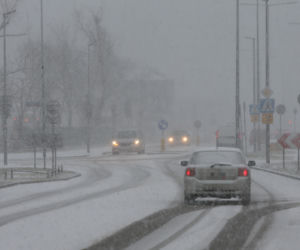 Śnieżyca