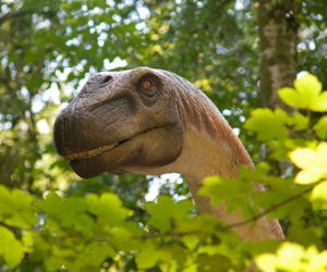 Przygoda z dinozaurami