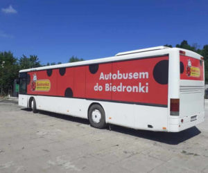 Biedronka wakacje