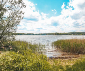 Coś niesamowitego! Rzeźbione schody w opuszczonym pałacu robią ogromne wrażenie [ZDJĘCIA]