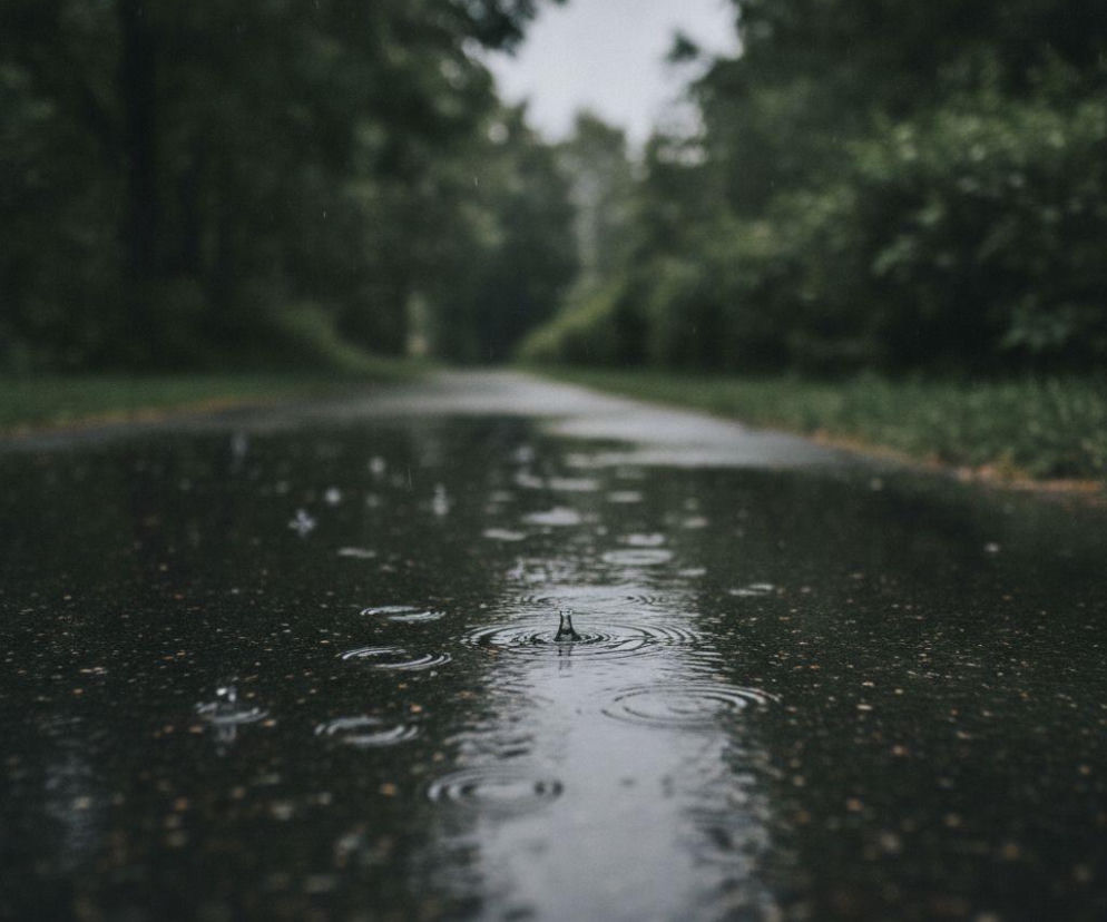Krople deszczu spadające na mokrą drogę w lesie. O deszczowej pogodzie w Gdańsku przeczytasz na Eska Trójmiasto.